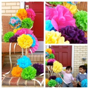 decorative pom poms